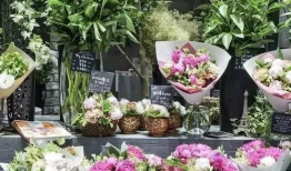 吃瓜最新事件爆料花店老板,揭秘背后惊人真相