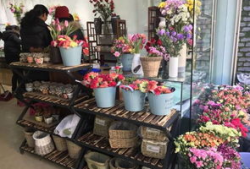 吃瓜最新事件爆料花店老板,揭秘背后惊人真相